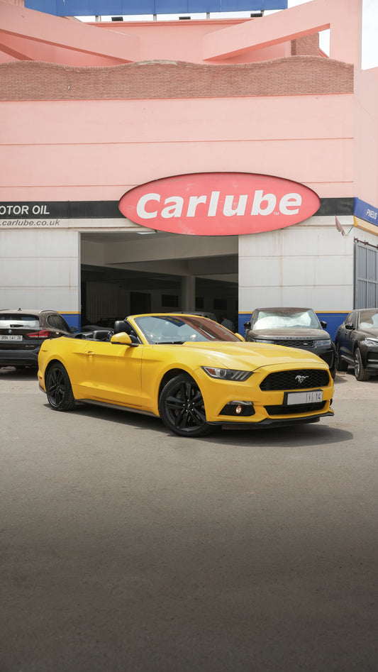 Ford Mustang – 2018/12
