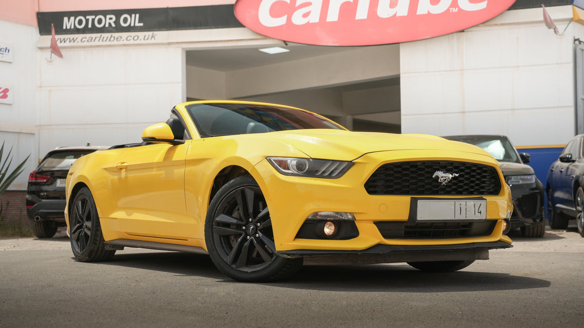Ford Mustang – 2018/12