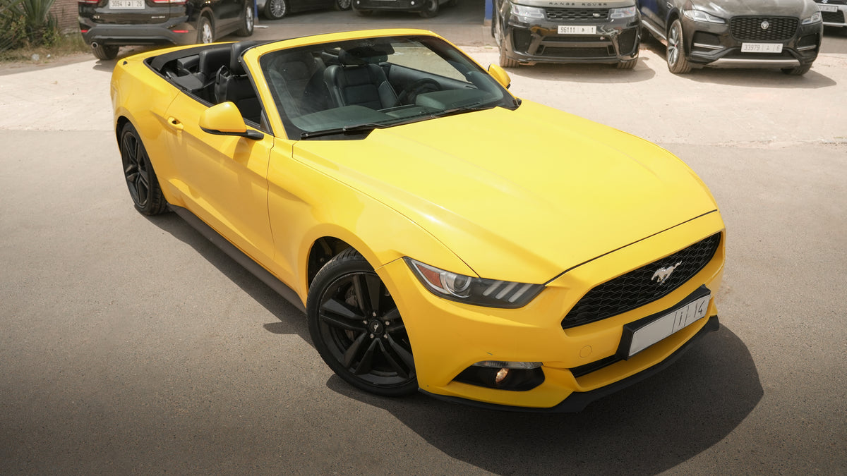 Ford Mustang – 2018/12