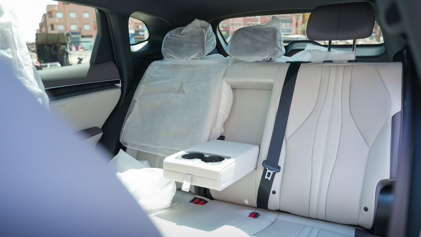 BYD Seal U DM-i Plus – 2026 – 0 km – Dédouanée